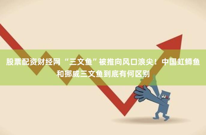 股票配资财经网 “三文鱼”被推向风口浪尖！中国虹鳟鱼和挪威三文鱼到底有何区别