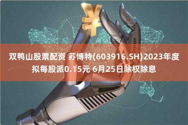 双鸭山股票配资 苏博特(603916.SH)2023年度拟每股派0.15元 6月25日除权除息