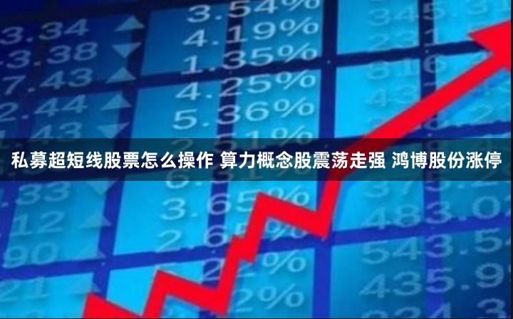 私募超短线股票怎么操作 算力概念股震荡走强 鸿博股份涨停